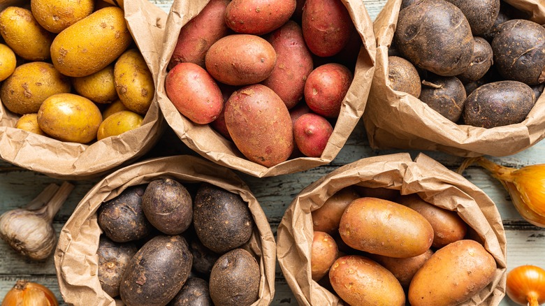 Variety of colorful potatoes