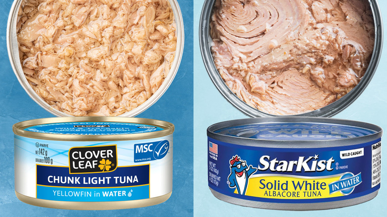 Albacore and chunk-light canned tuna 