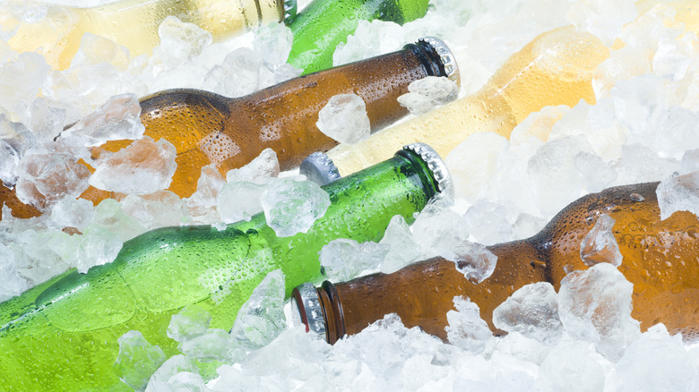 Beer bottles on ice