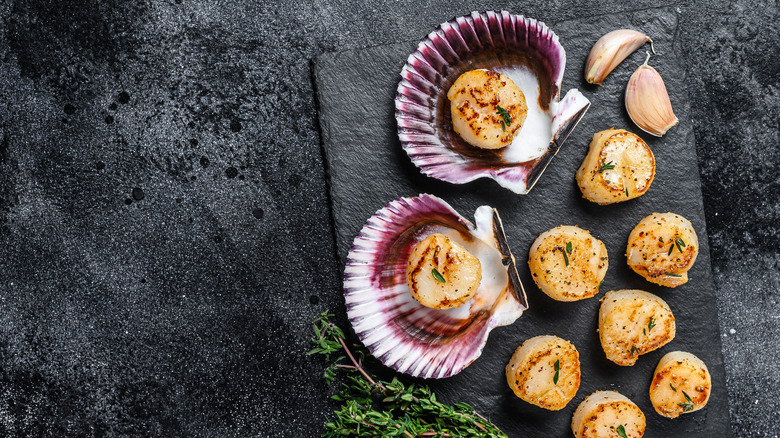 Half shell scallops 