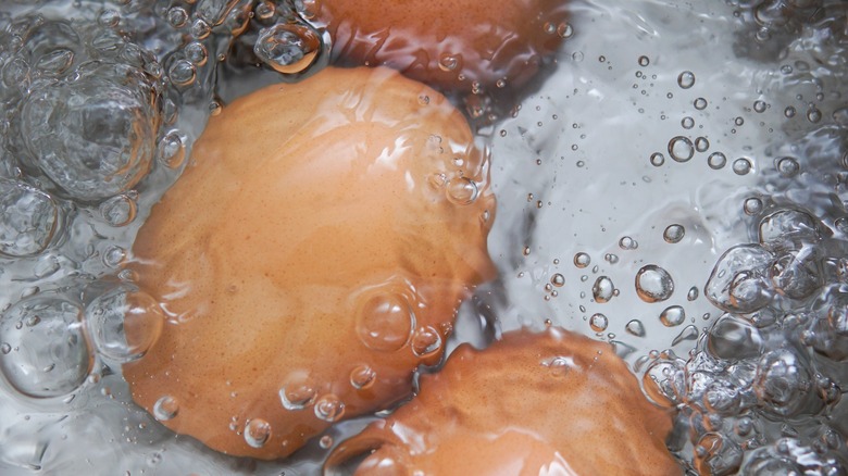 eggs in bubbling water