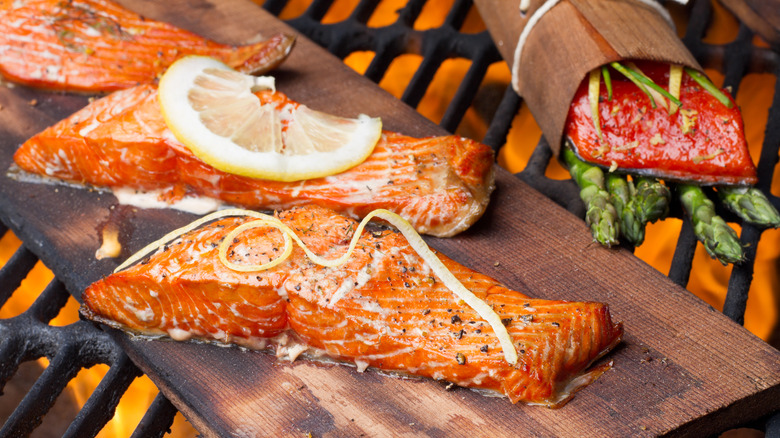 salmon filets on the grill