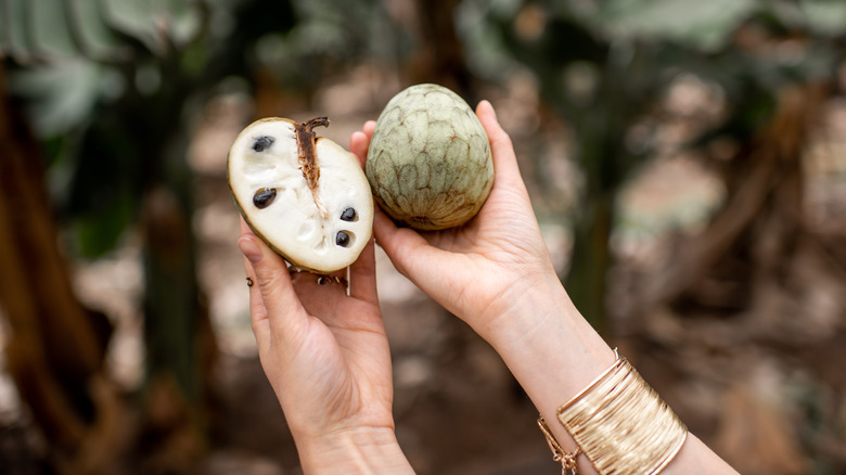 Woman holding cherimoya