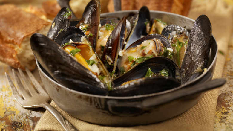 Mussels