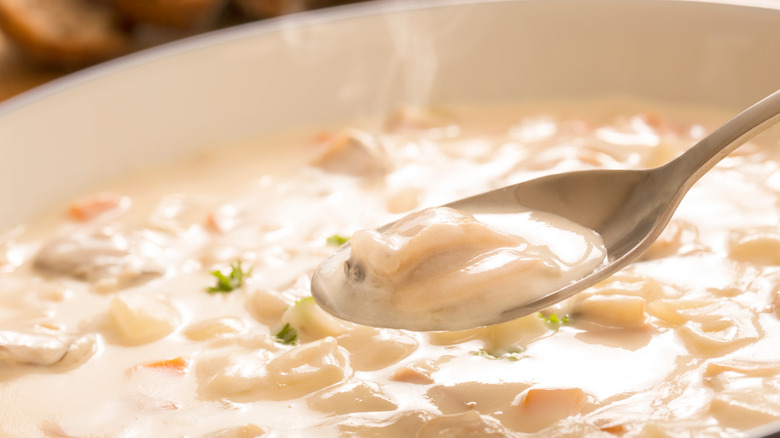 clam chowder