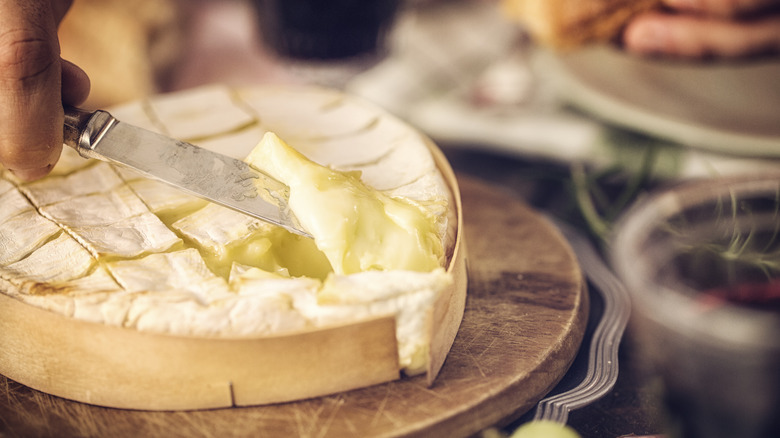 baked camembert cheese