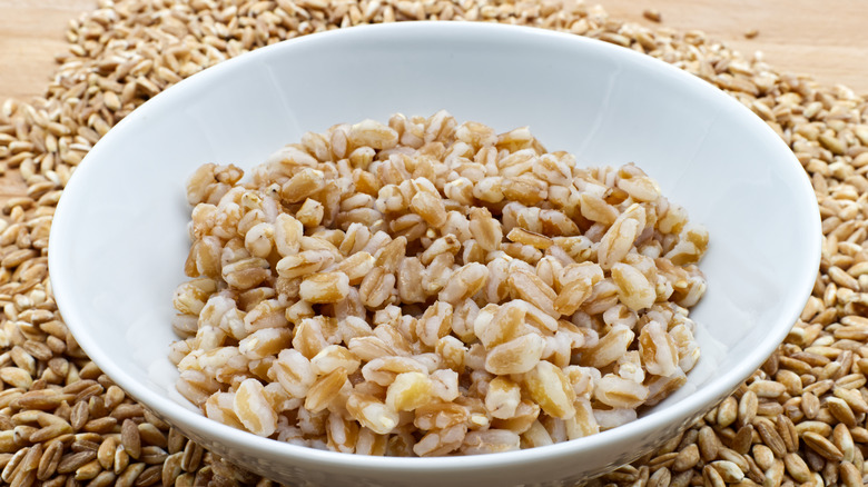 Boiled spelt in a bowl