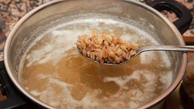 Farro boiling in water