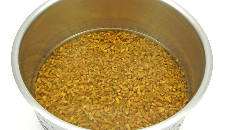 Spelt soaking in bowl 