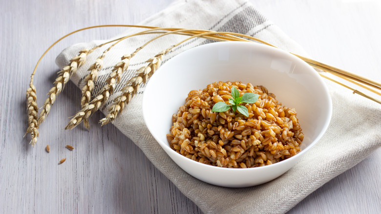 Cooked farro in a bowl