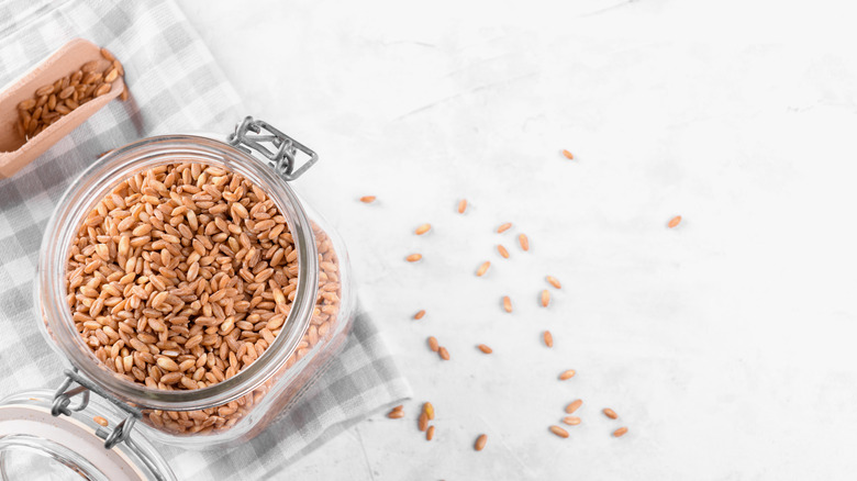 Spelt farro stored in jar