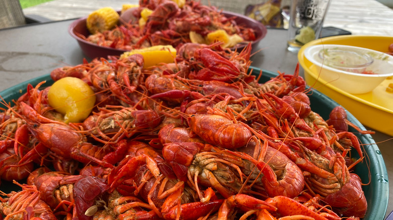 Trays of boiled crawfish