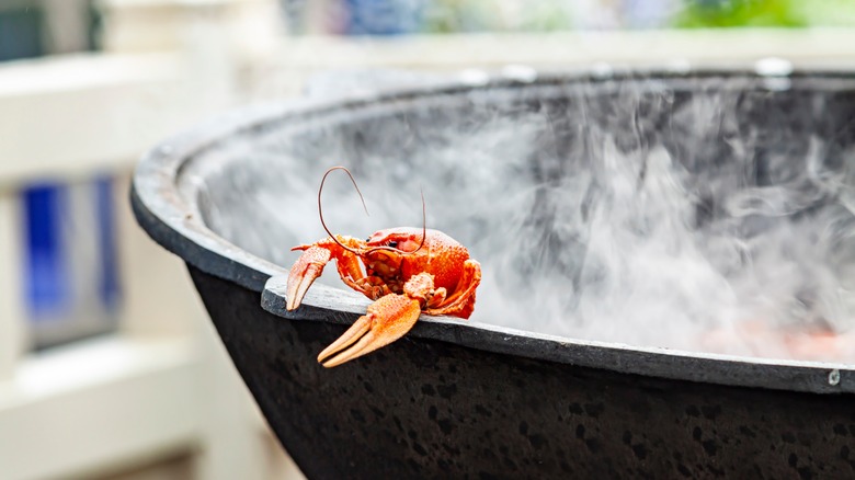 Boiled crawfish on steaming pot