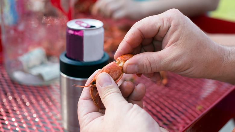 Crawfish being twisted apart