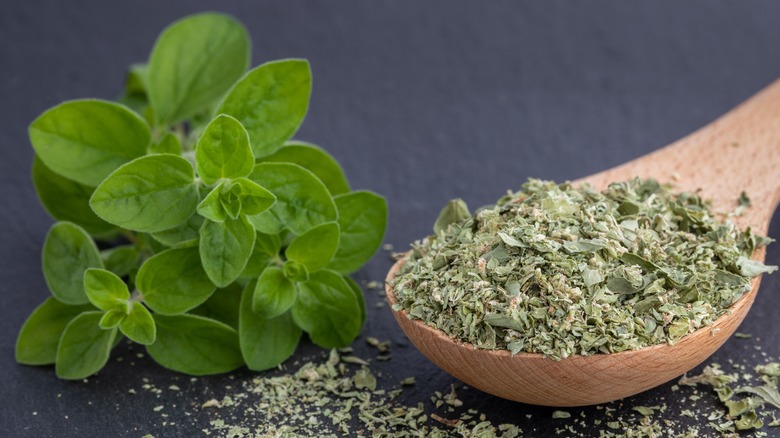 fresh and dried oregano