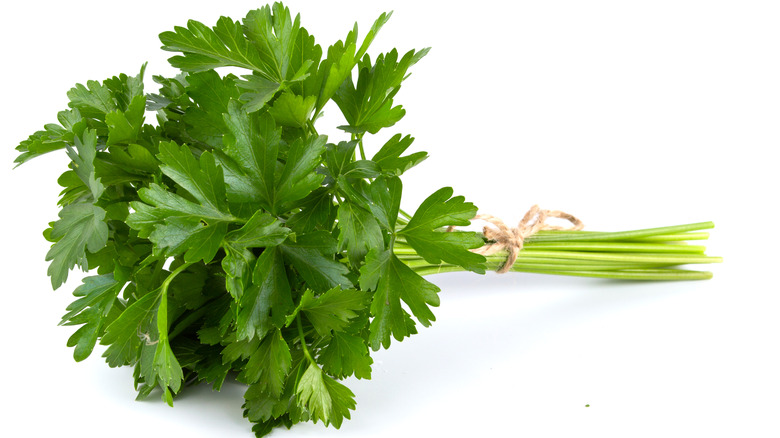 Italian parsley bunch