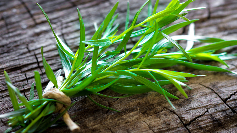 bunch of fresh tarragon