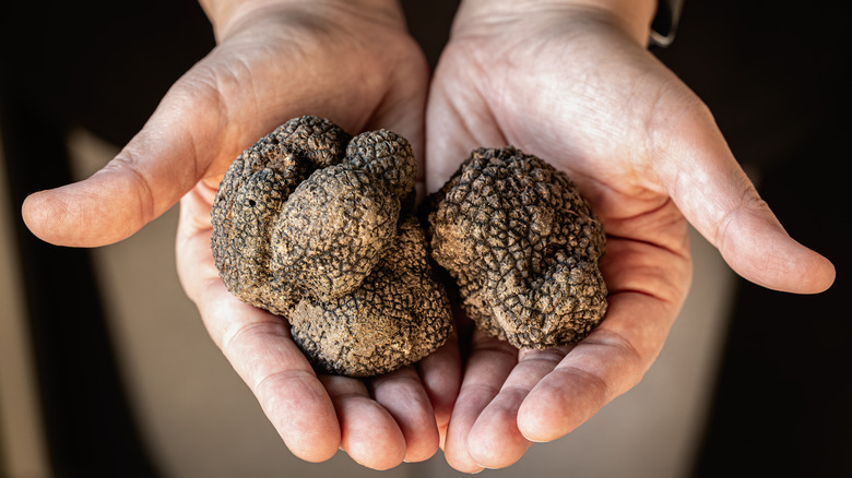 Hand holding truffles