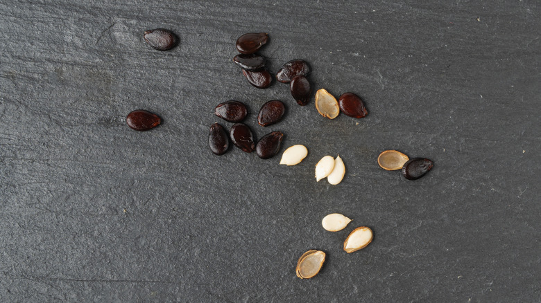 black and white watermelon seeds