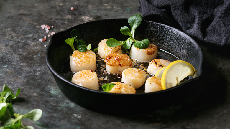 Seared scallops in pan