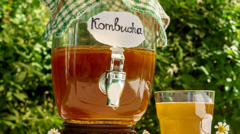 kombucha jar with spigot