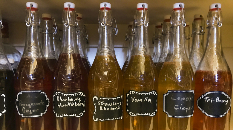 flip lid bottles of kombucha