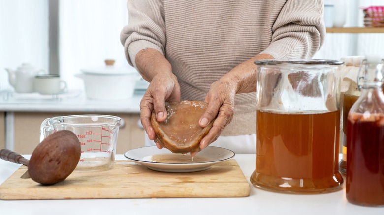 holding kombucha SCOBY