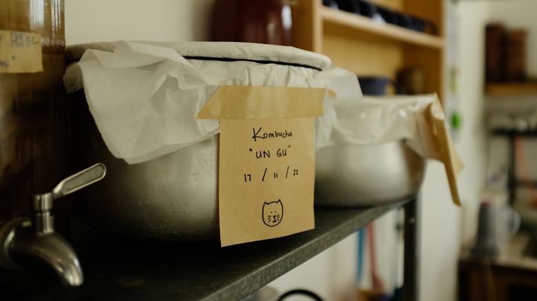 brew vessels covered with cloth