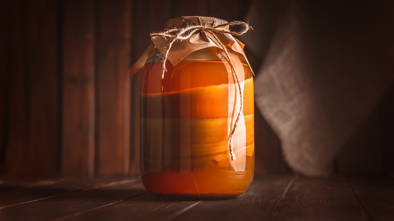 kombucha brewing in jar