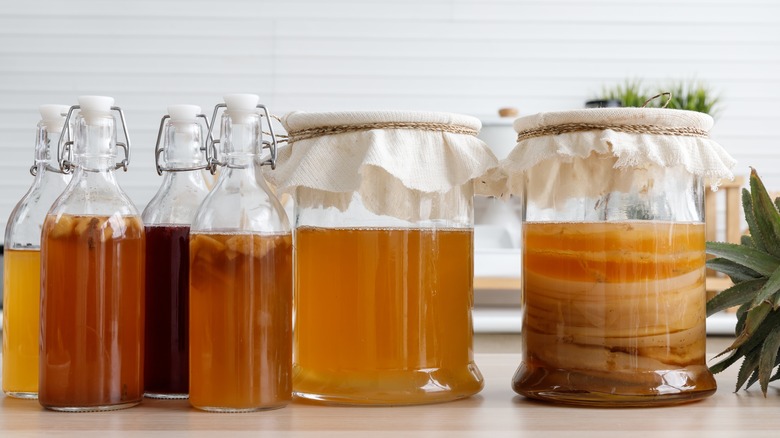 bottles of kombucha, brew jars