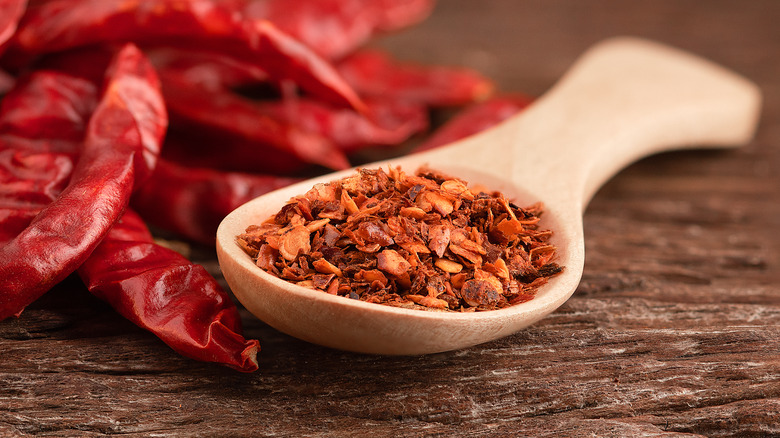 Close up of spoonful of crushed red pepper 