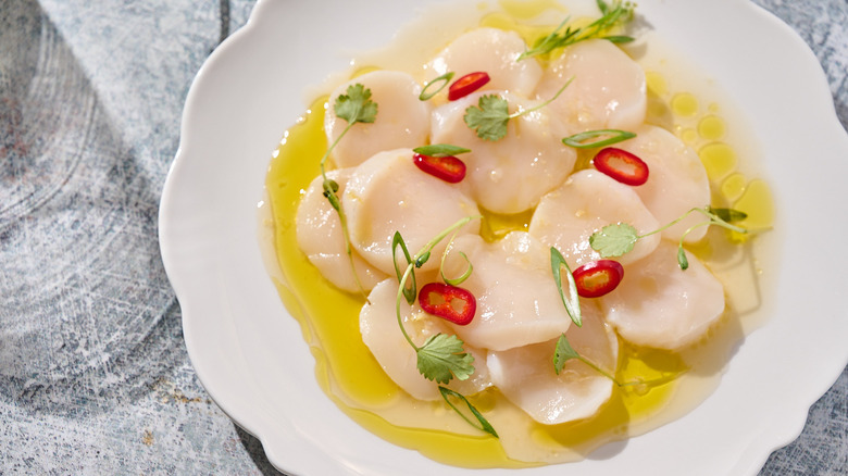 scallop crudo with yuzu, cilantro and chile on white plate